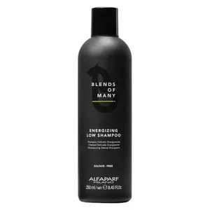 BLENDS OF MANY ENERGIZING LOW SHAMPOO - Sampon energizant anti-cadere 250 ml 